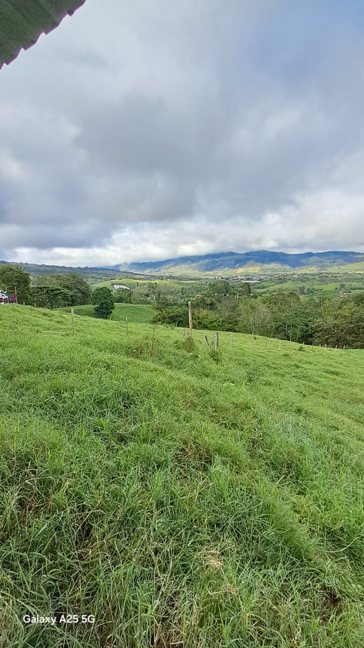 IMG-20250716-WA0045