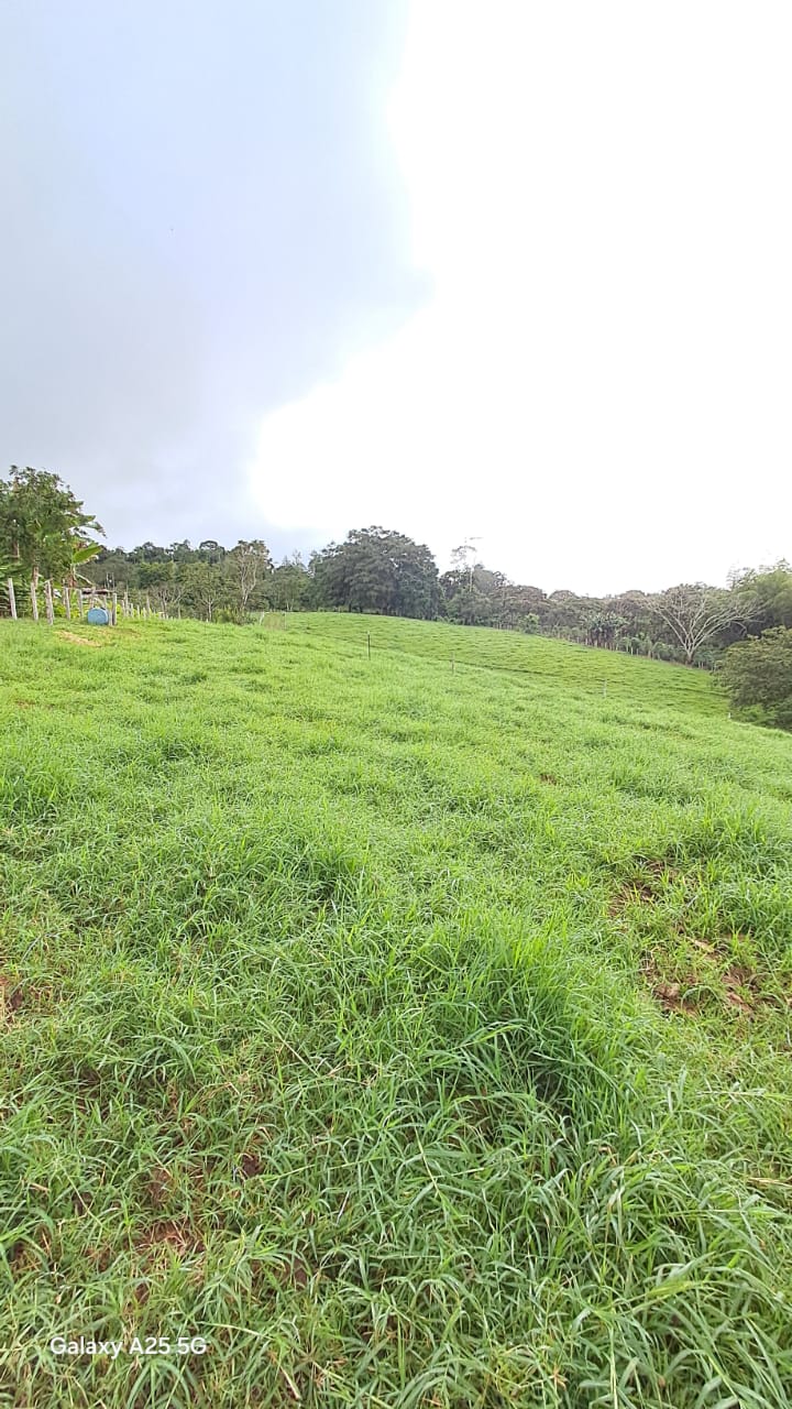 IMG-20250716-WA0055