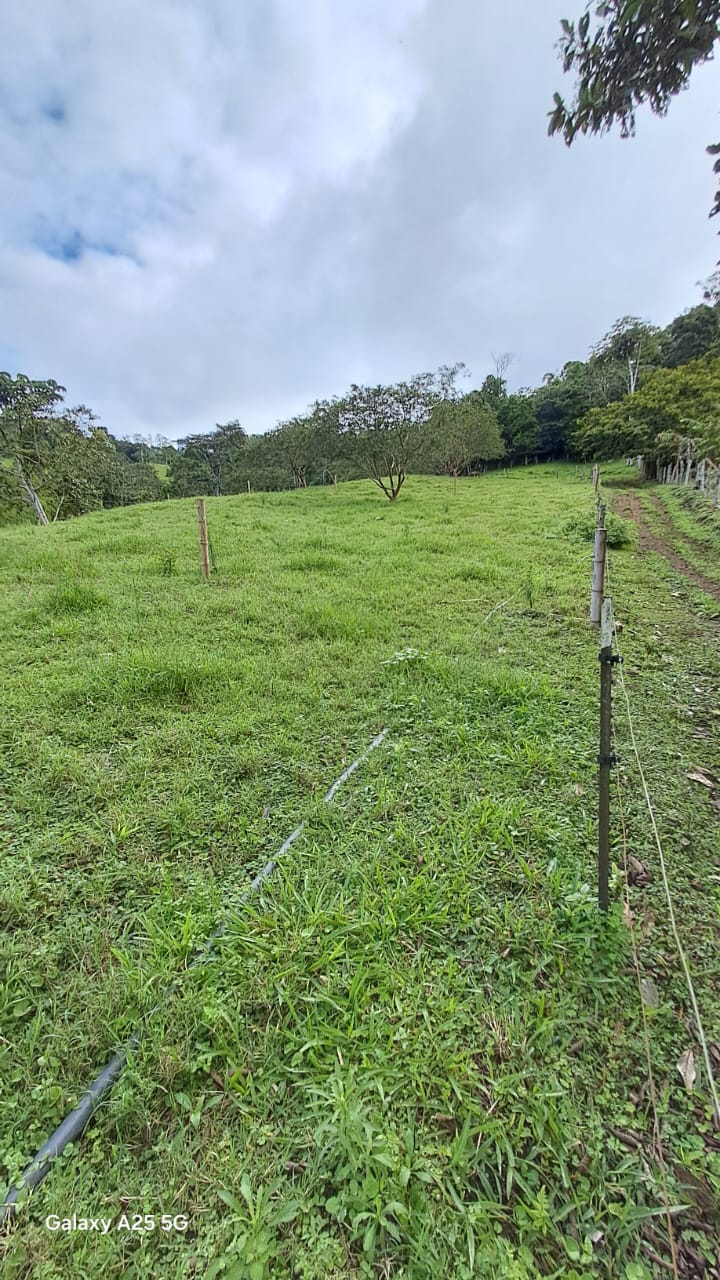 IMG-20250716-WA0072