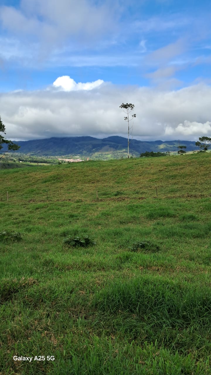 IMG-20250716-WA0106